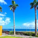 차우민박 이미지