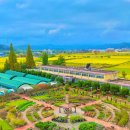 구)대산초등학교 이미지