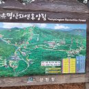 유명산라온캠핑장 이미지