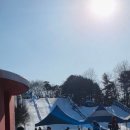 상록환경 | 천안상록리조트아쿠아피아 겨울 워터파크 완전 꿀잼! 가성비 실내 물놀이 후기