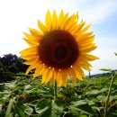 강주농장 이미지