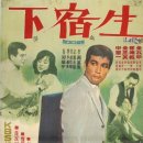 정이생(하) Daum카페