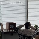 131게스트하우스 | 제주도게스트하우스 131게스트하우스 국내여행 떠나고 싶을 때 가성비숙소 가격 위치 숙소후기