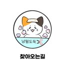 고양이 무마취 미용 냥털도둑 이미지
