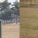 BH인터네셔널