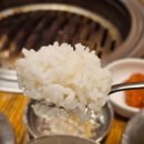 금호숯불가든 | 제주남원흑돼지맛집 제주 흑돼지 딱 정해드림! 송가네참숯가든