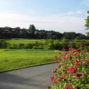 경주신라컨트리클럽 이미지