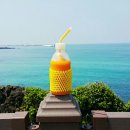 탐라도다 이미지