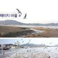 석모도해미지영농조합법인 이미지