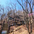 궁내초교 이미지