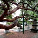 단월약국 이미지