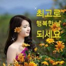 정(情) 이미지