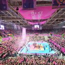 GS25 화정염주점 | '여자배구 실내체육관 시야' 모음 (인천 삼산체육관, 장충체육관, 수원 실내체육관, 광주 염주체육관)