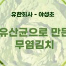 유한회사 야생초 이미지