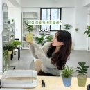 소만 | [잠실] 원데이클래스 소만 soman 가드닝 플랜트 스튜디오 화분 만든 후기 집들이선물 추천!