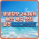 종로-연건-종로-연-381 | 생생정보 2436회 버섯 백숙 맛집 /광주 서구 보양식 명소 ‘어쩌다토종닭’