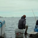 바이더씨 이미지