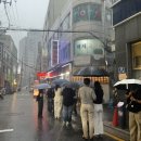 고고육회 | [종로 맛집] 백제정육점 :: 차돌박이 육회쌈 내돈내산, 주말 웨이팅