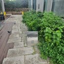 녹원삼계탕 | 9월 셋째주 일상┊볼링 연습, 오후반차 쓰고 리와인드, 최애 맛집 난포 광화문에 생기다!, 너무한...