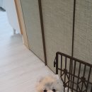 일구야