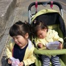 오복약국 이미지