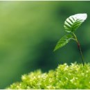 우미스포츠 이미지