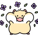 동춘돌곱창신제주점 이미지