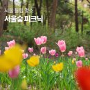 서울숲 무지개터널 앞 | 서울숲 튤립 위치 실시간 개화 서울 당일 피크닉 후기