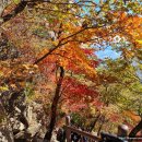 도봉산 등산 신선대 코스 가을 단풍 산행