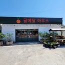 귤메달하우스 이미지