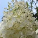 산수곡 이미지