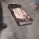 일품집