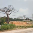 충신 유지걸 정려 네이버블로그