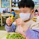 꿈의보람유치원 이미지