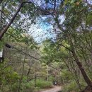 만경대 | 가을 느낌 풀 충전 운악산 (20th 블랙야크 100대 명산) 산행 후기
