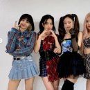 블랙핑크 티스토리