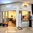 카페마일로(MILO) 이미지