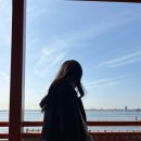 동부유치원 | [미국 동부] 친구랑 뉴욕 5박6일 여행4-5일차(뮤지컬 six후기, TKTS예매, 매그놀리아, 자유의여신상...