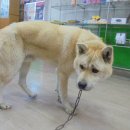 당정중학교 이미지