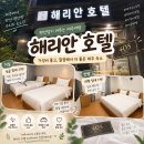 해리안호텔 | [제주도]서귀포 가성비 좋고 깨끗한 호텔 해리안호텔