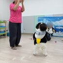 신기마트 | [의왕 롯데마트 문화센터] ‘신기한 오감 점프베베’ 박정영 강사님 후기 :)