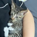 문수동물병원 이미지