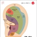 귀건강이혈테라피 이미지