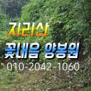 지리산양봉원 이미지