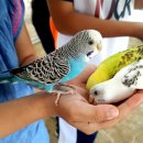 자연아 놀자 이미지