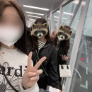 제주따이 이미지