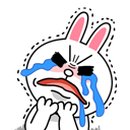 공선재