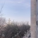 앞장술 해수욕장