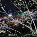 청도프로방스 불빛축제 카라반 펜션 이미지