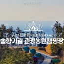 솔향기길야영장 | 솔향기길야영장 바다와 산의 조화가 큰 매력
